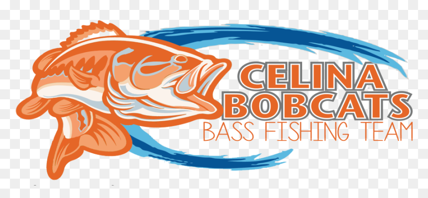 Bass Fish Png, Transparent Png - bass fish png