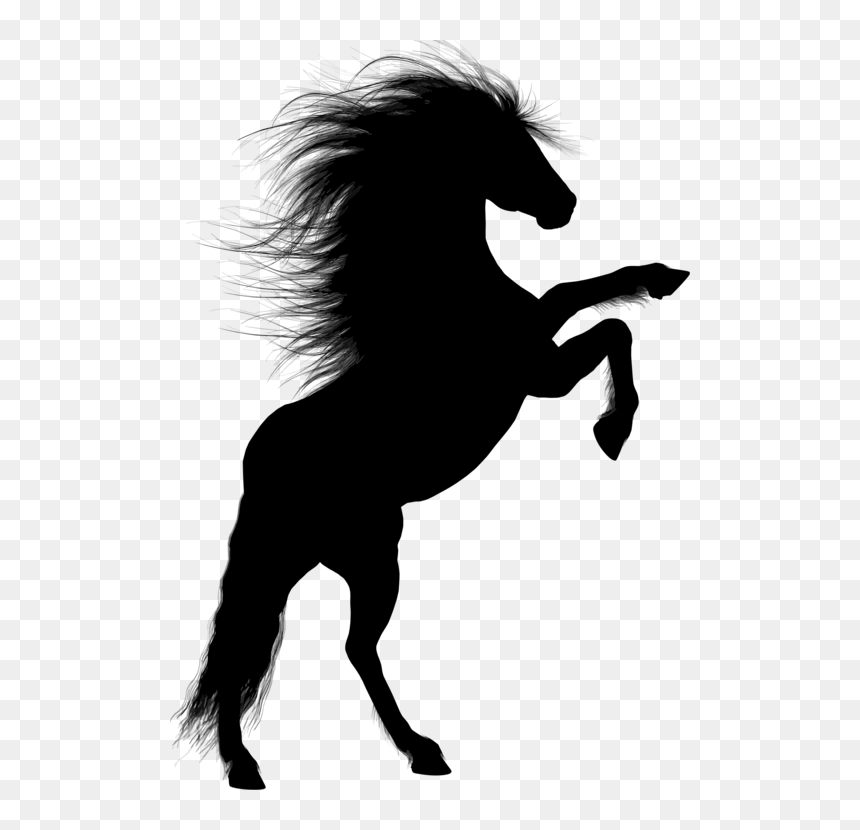 Silhouette Horse - Stallion Png, Transparent Png - horse silhouette png