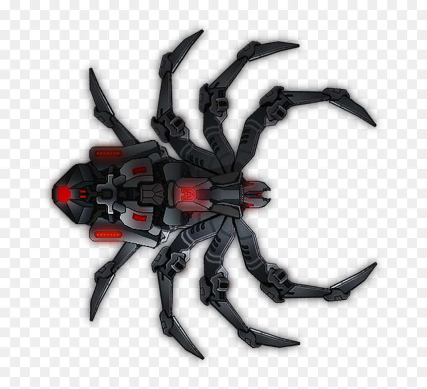 [ship][ae] Spider Black Widow - Black Widow Spider Png, Transparent Png - tarantula png