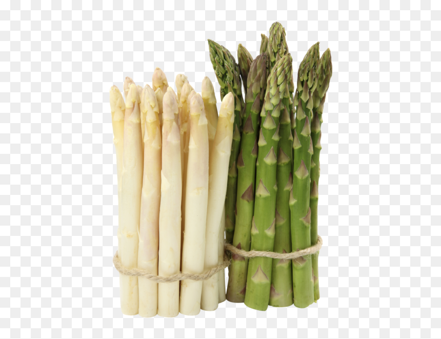 Asperges En Png, Transparent Png - asparagus png