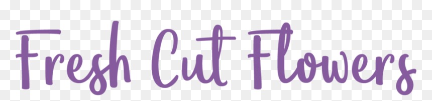 The Flowerman Fresh Cut Flowers Dayton Columbus Florist-01, HD Png Download - real flower png