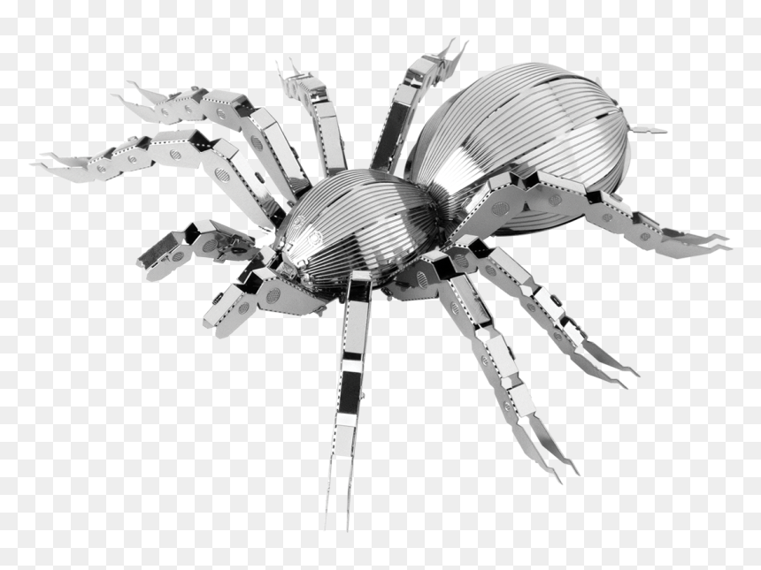 Metal Earth Bugs - Metal Tarantula, HD Png Download - tarantula png