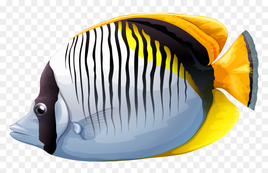 Chaetodon Fish Png Clipart Image - Transparent Sea Fish Png, Png Download - fish clipart png