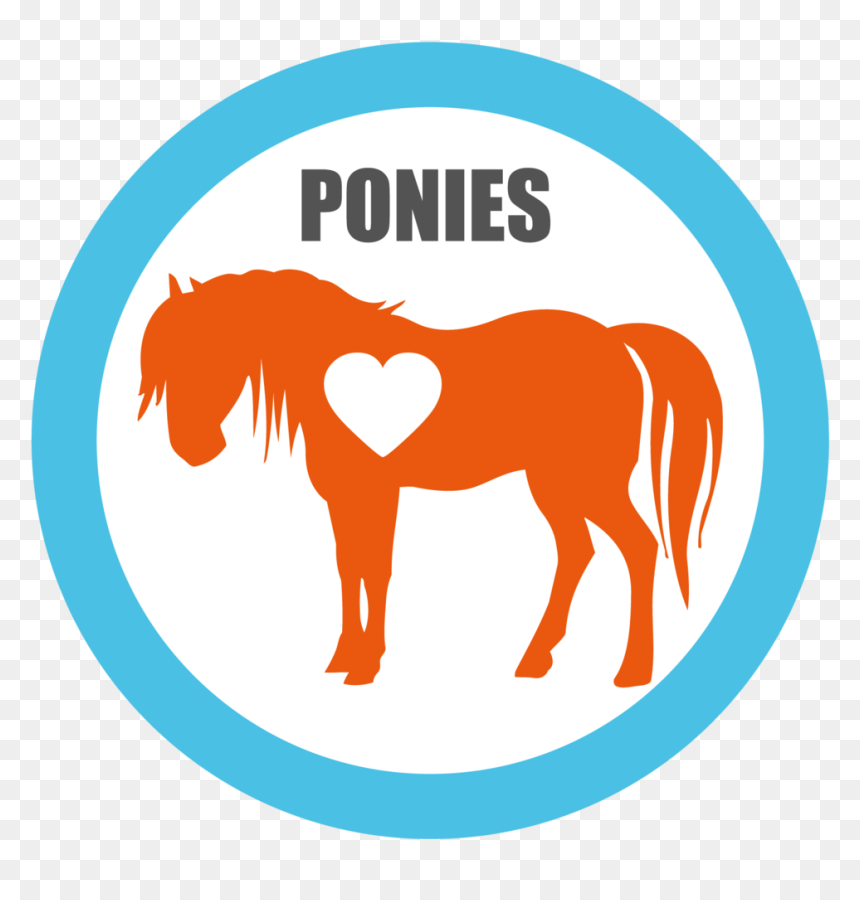 Transparent Adopt Don"t Shop Clipart - Guinness Storehouse, HD Png Download - horse silhouette png