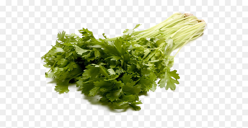 Download Celery Png Transparent Image - Large Stalk Of Celery, Png Download - parsley png