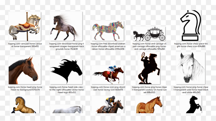 صور احصنه بدون خلفيه Horse Png - Stallion, Transparent Png - horse silhouette png