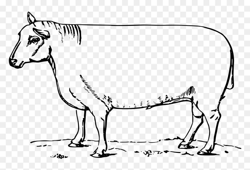 New Leicester Ram Clip Arts - Sheep, HD Png Download - ram png