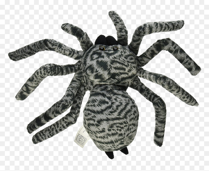 Spider Png Photo - Peluches De Tarántulas, Transparent Png - tarantula png