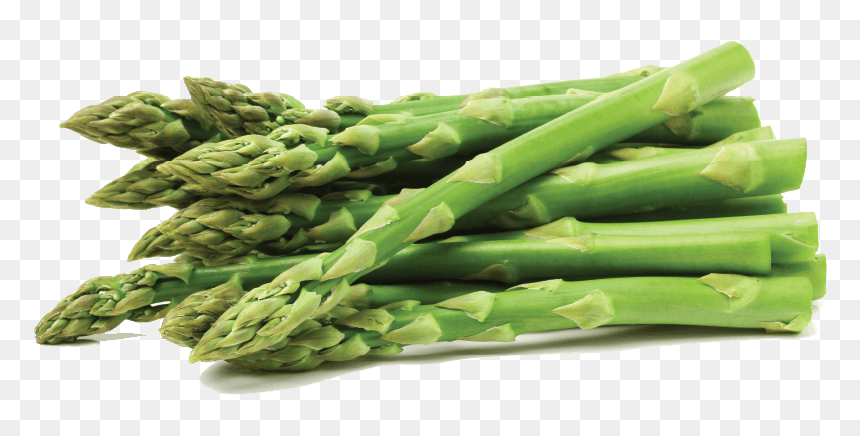 Non Starchy Vegetable Transparent, HD Png Download - asparagus png