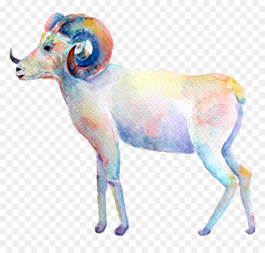 Aries New Moon - Aries, HD Png Download - aries png