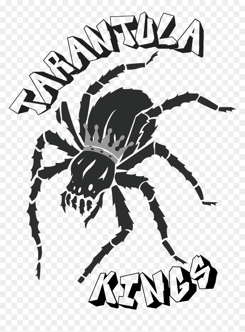 Spider, HD Png Download - tarantula png