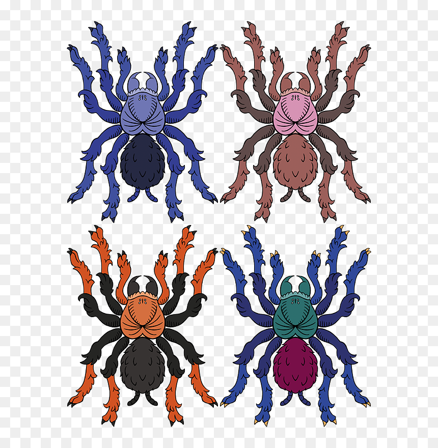 Heraldict-colors - Heraldic Spider, HD Png Download - tarantula png