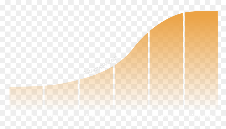 Plywood, HD Png Download - curve png