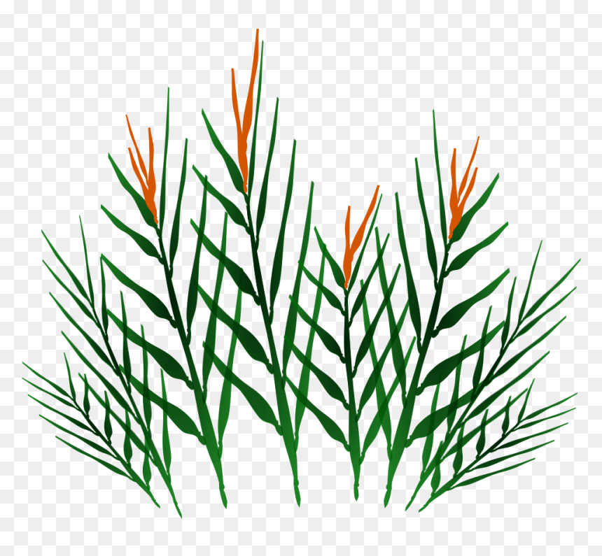 Preview - Grass, HD Png Download - jungle plants png