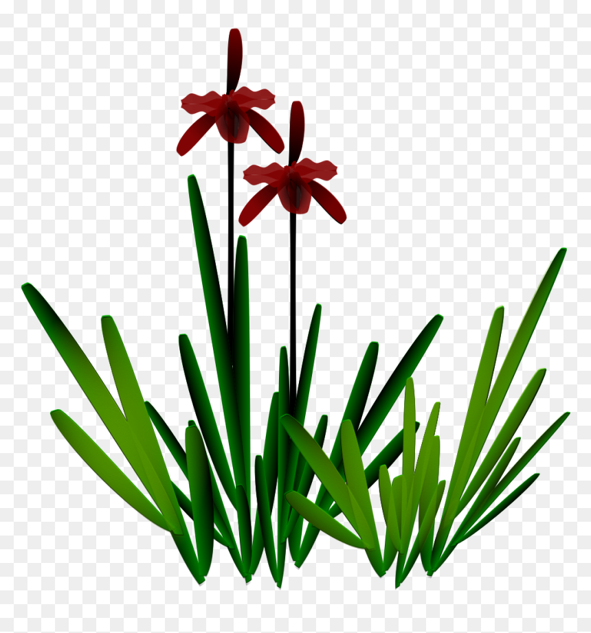 Preview, HD Png Download - jungle plants png