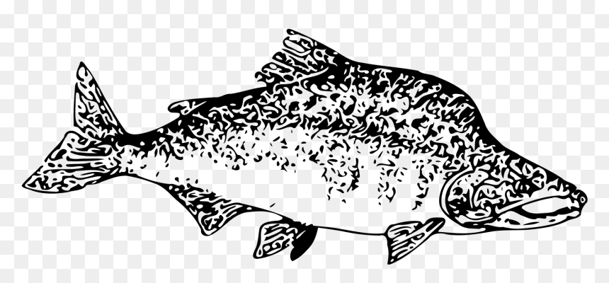 Fish Clip Art, HD Png Download - fish clipart png