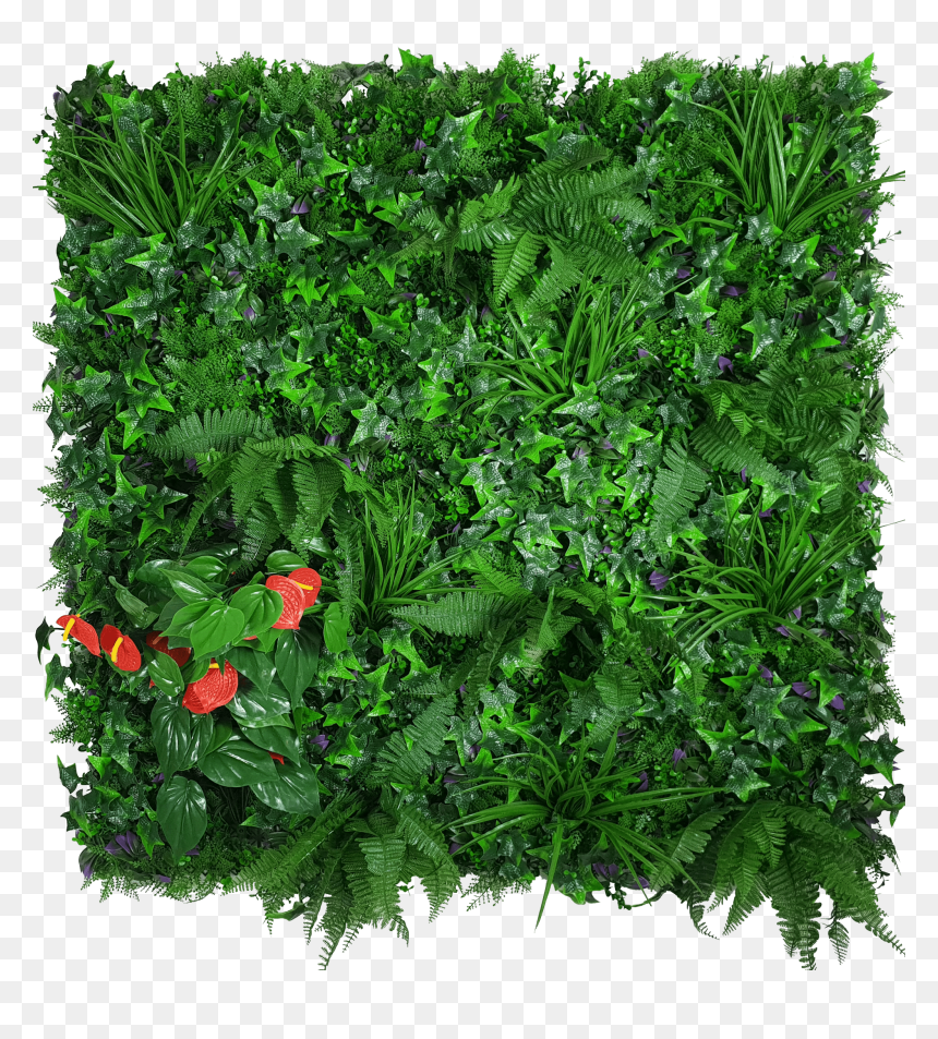 Artificial Green Wall Hedge Panel Mixed Jungle - Hedge Wall Jungle, HD Png Download - jungle plants png
