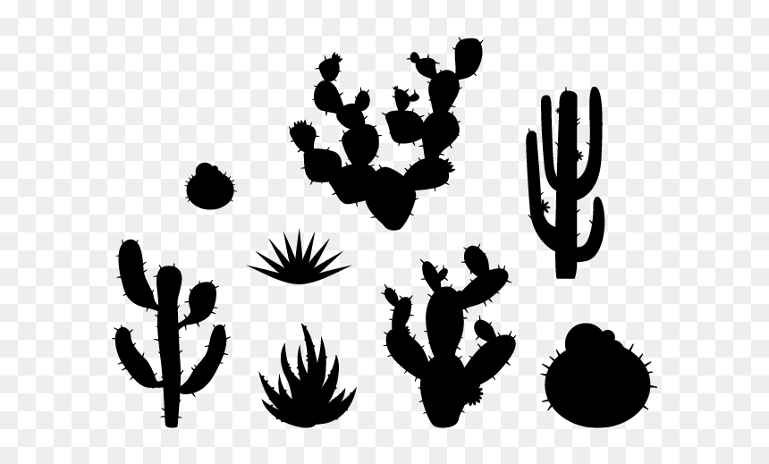 Plants Wall Decals Weedecor - Desert Cactus Png Cartoon, Transparent Png - cactus silhouette png