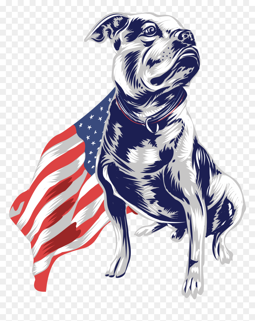 2083 X 2455 - Boxer, HD Png Download - boxer png