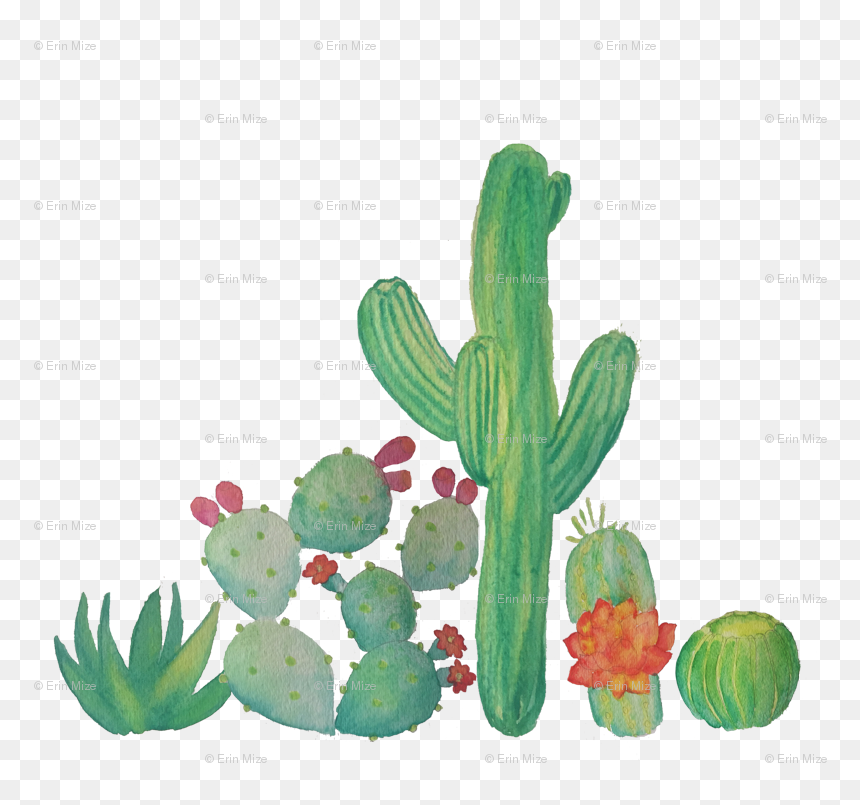 Cactus Water Color Png - Water Color Cactus Clip Art, Transparent Png - cactus silhouette png