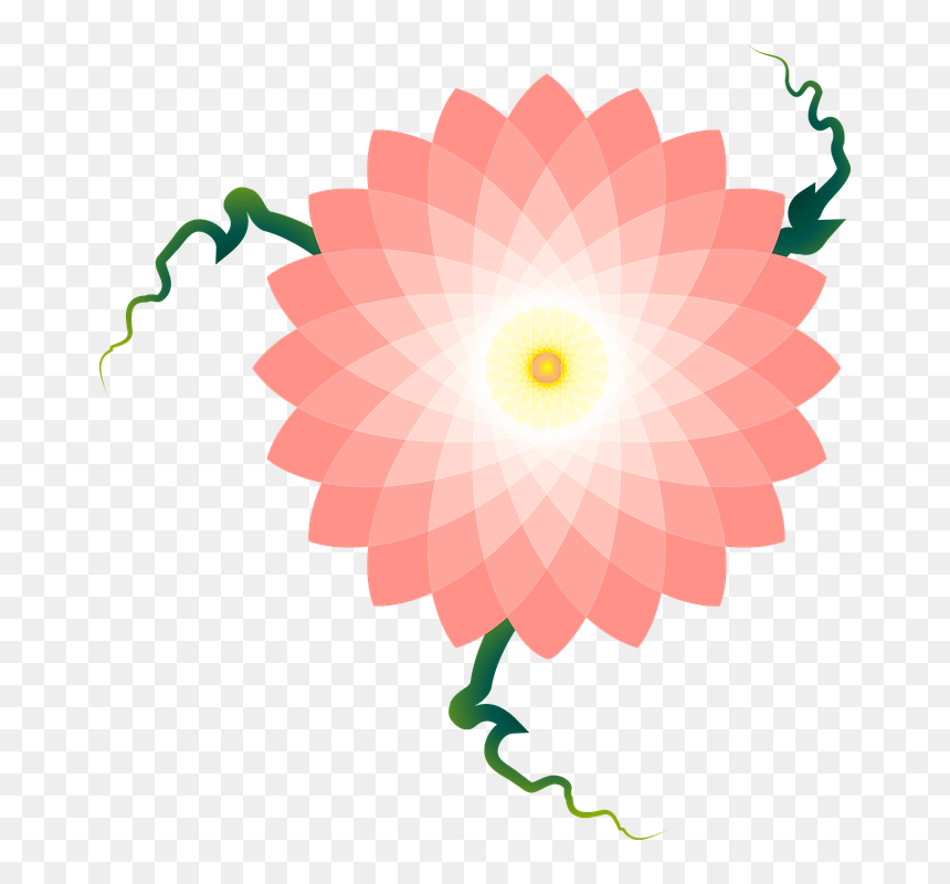 Png Free Flower Clipart Templates, Transparent Png - floral vector png