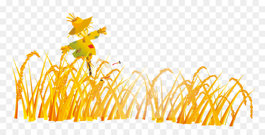 Graphic Design Cartoon Scarecrow - Graphic Design Cartoon Cartoon Scarecrow Wheat Field, HD Png Download - field png