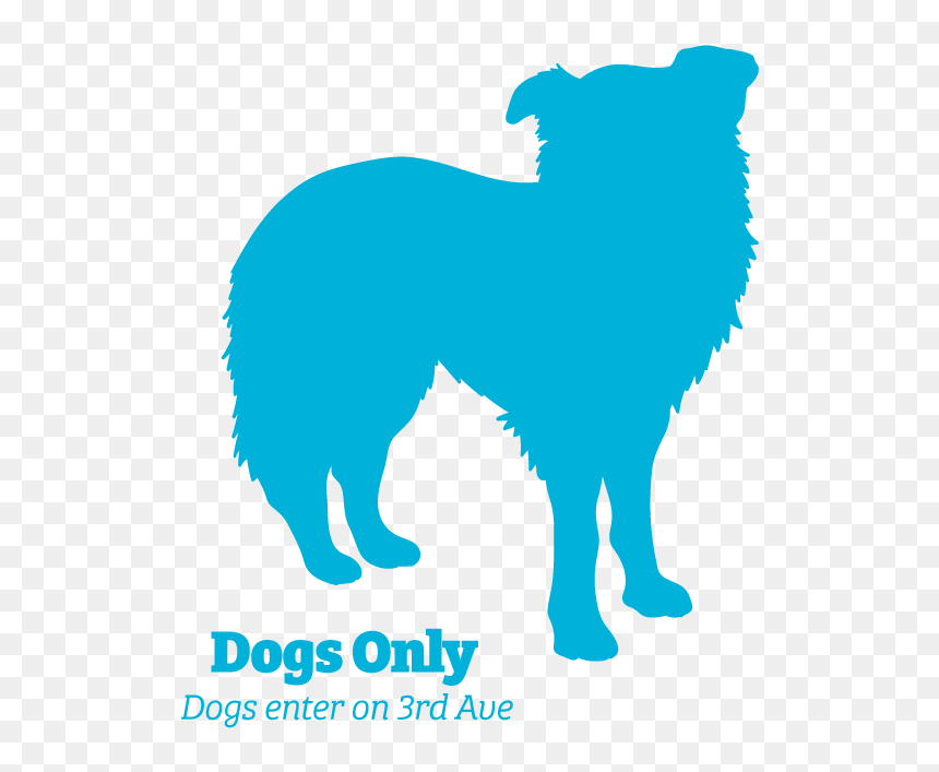 Dog Jumps, HD Png Download - dog png icon