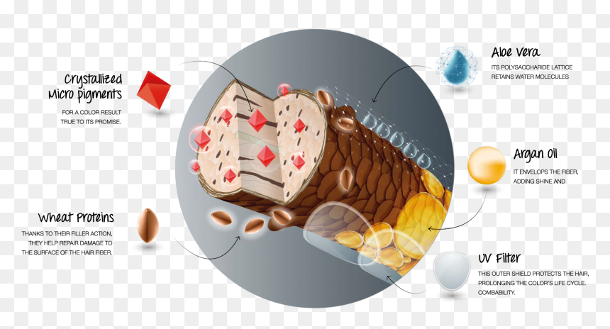 Roast Beef, HD Png Download - color explosion png