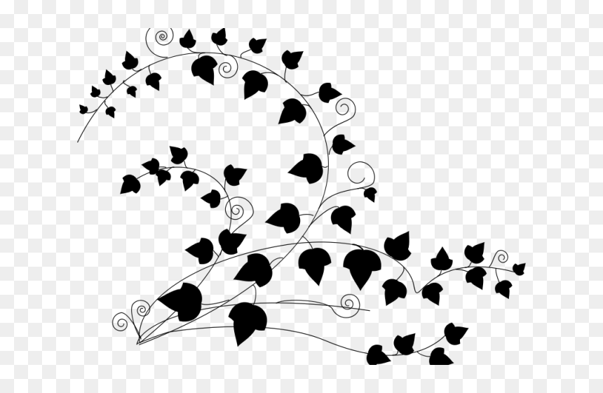 Drawn Vine Poison Ivy Vine - Ivy Black And White, HD Png Download - ivy border png