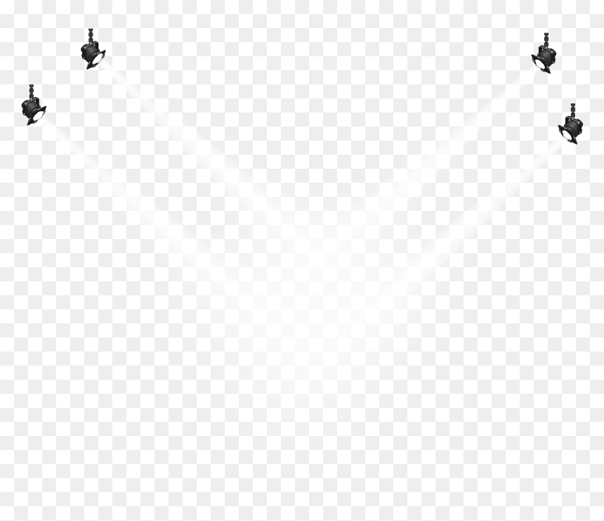 Luces - Bird, HD Png Download - luces png
