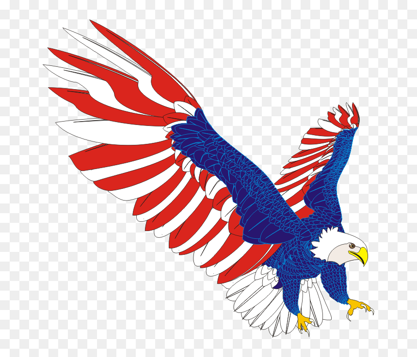 Thumb Image - American Eagle Art Png, Transparent Png - american eagle png
