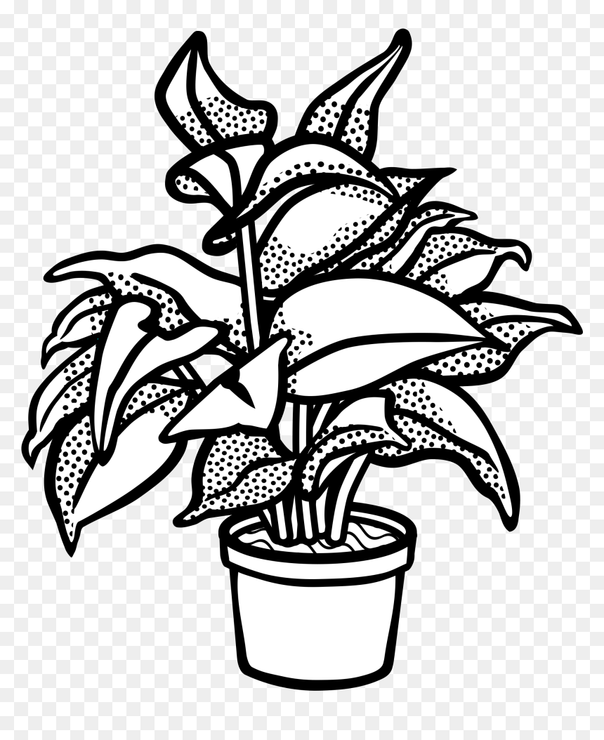 Watercolor Potted Plants Clipart, Potted Plants, Cactus, - Clip Art Black And White Plant, HD Png Download - jungle plants png