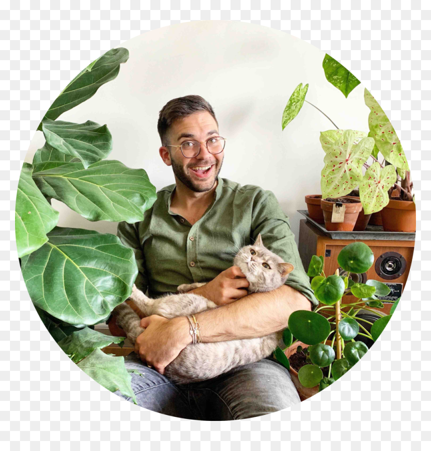 Thomas Goyvaerts -, HD Png Download - jungle plants png