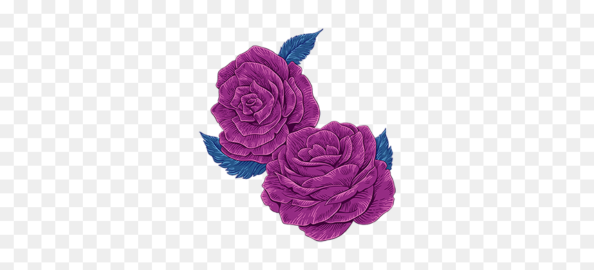 Rosa × Centifolia, HD Png Download - floral vector png
