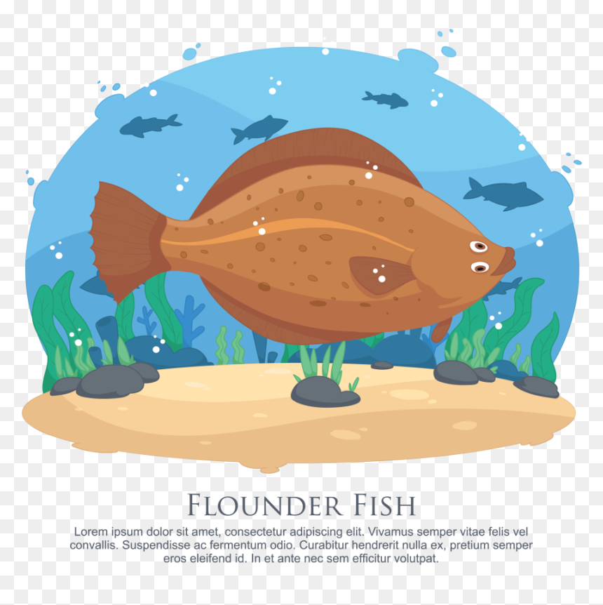 Flounder Fish Vector Illustration - Illustration, HD Png Download - flounder png