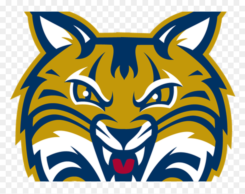 Bobcat Clipart Scared - Quinnipiac Stickers, HD Png Download - bobcat png