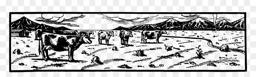 Cow Field Clip Arts, HD Png Download - field png
