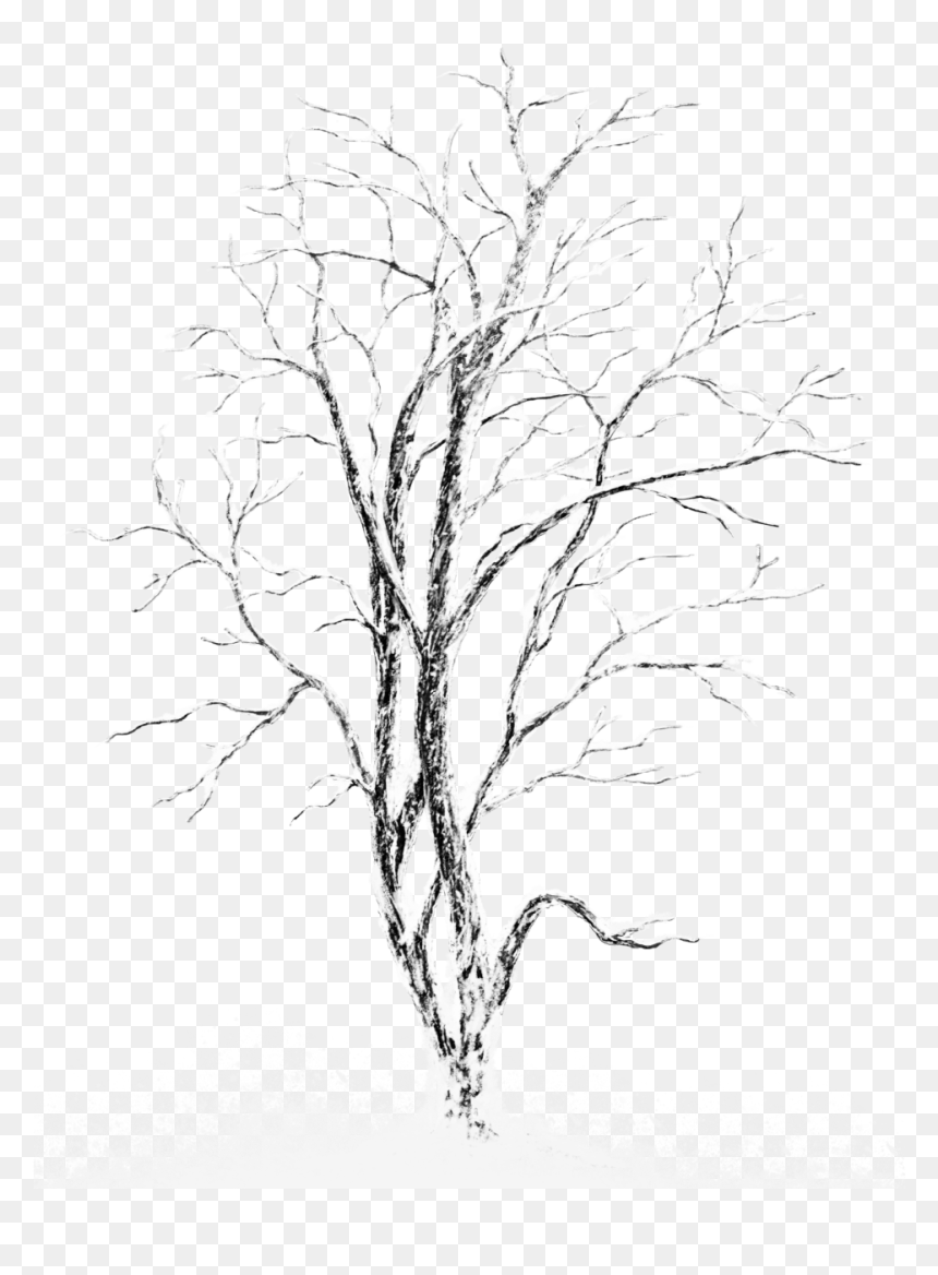 White Winter Tree Png , Png Download - Snow Cover Tree Drawing, Transparent Png - winter tree png