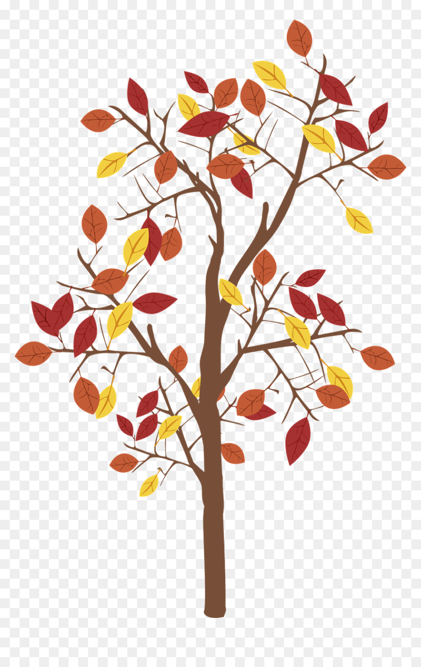 Fall Tree Graphics, HD Png Download - fall tree png