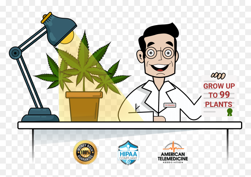 Medical Marijuana Card Online - Cartoon, HD Png Download - marijuana plant png