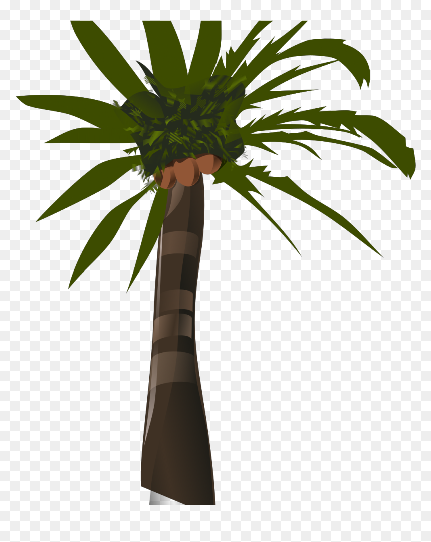 Palm Tree Clip Art, HD Png Download - palm tree vector png