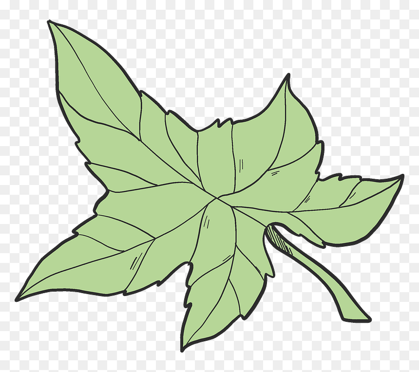 Ivy Leaf Clipart, HD Png Download - ivy border png