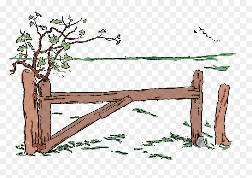 Mob File - Wood, HD Png Download - field png