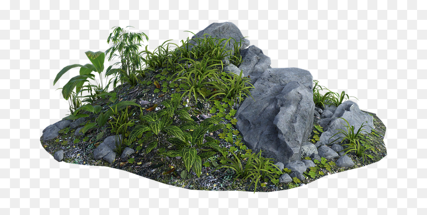 Grass, HD Png Download - jungle plants png