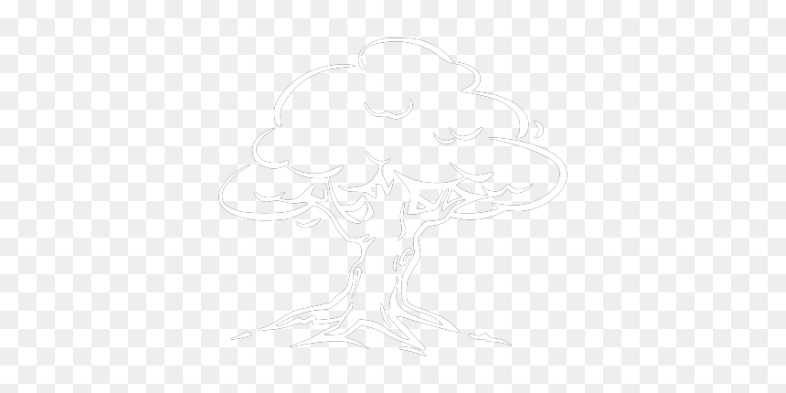 Sketch, HD Png Download - tree outline png