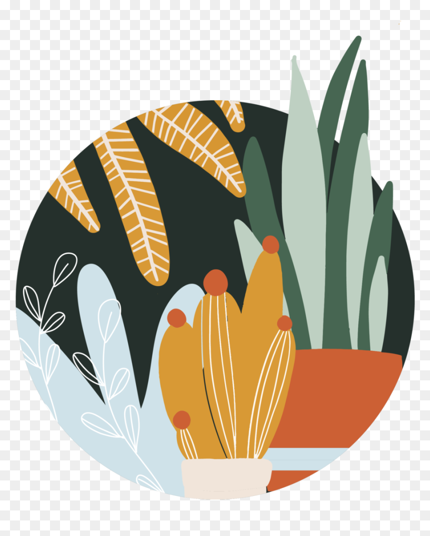 Jungle Packages-01 - Illustration, HD Png Download - jungle plants png