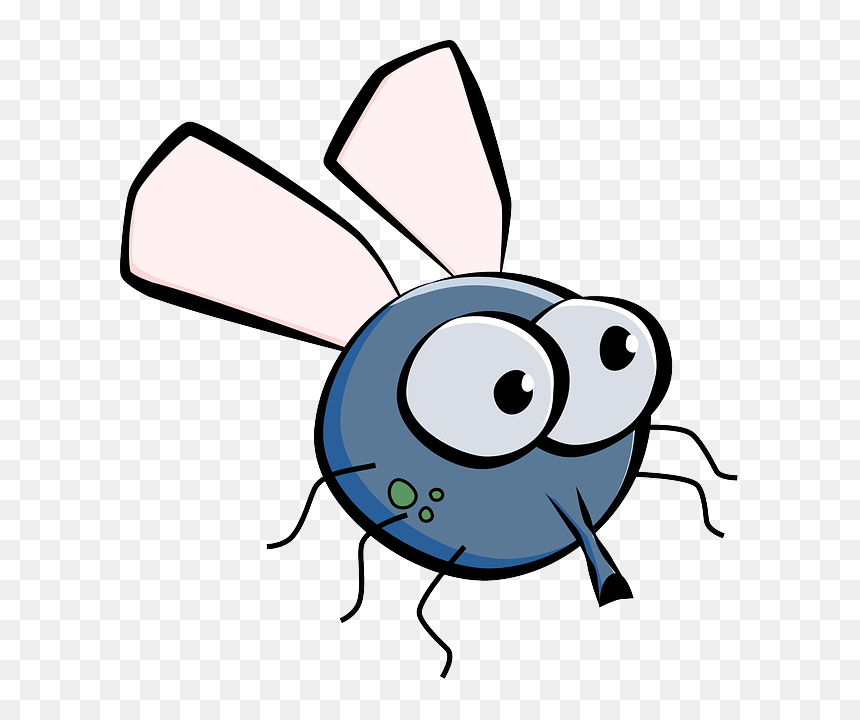Transparent Comic Explosion Png - Fly Clipart, Png Download - comic explosion png