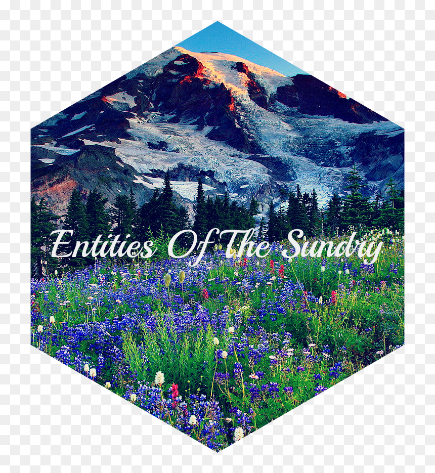 Mountains Mount Rainier Hills Grass Glacier Slope Meadow - Bluebonnet, HD Png Download - hills png