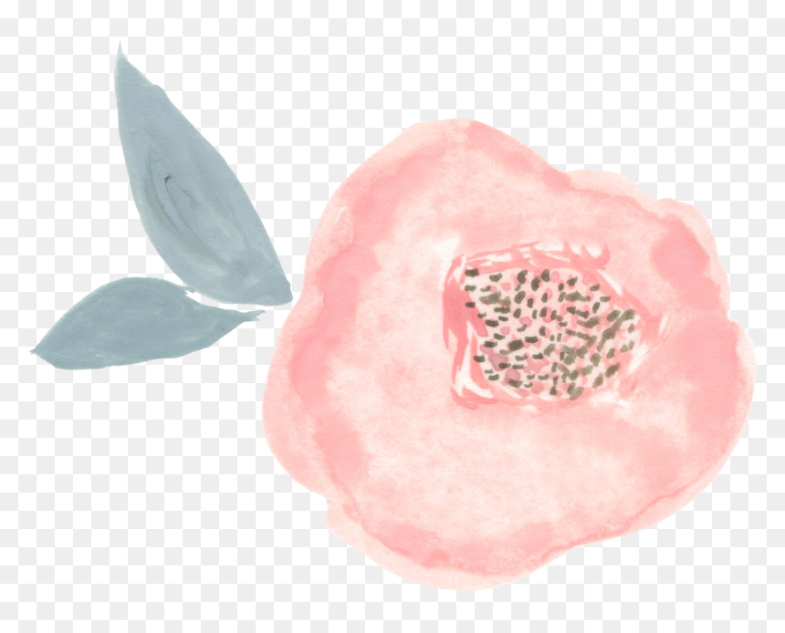 Water Lily, HD Png Download - pink flower crown png