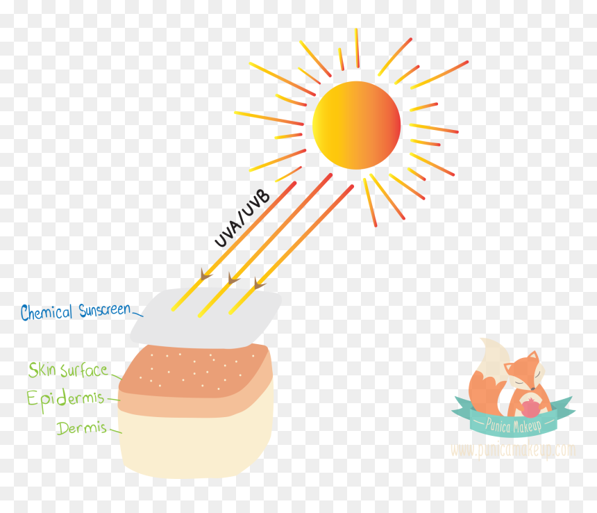 Things You Must - Skin Cancer Clip Art, HD Png Download - sunscreen png